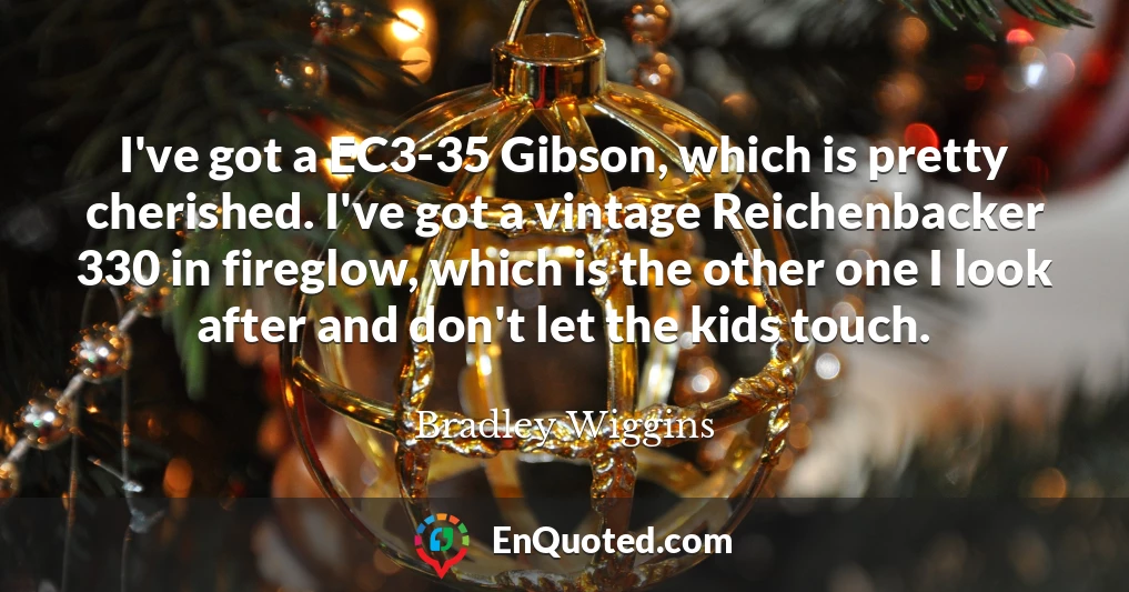 I've got a EC3-35 Gibson, which is pretty cherished. I've got a vintage Reichenbacker 330 in fireglow, which is the other one I look after and don't let the kids touch.