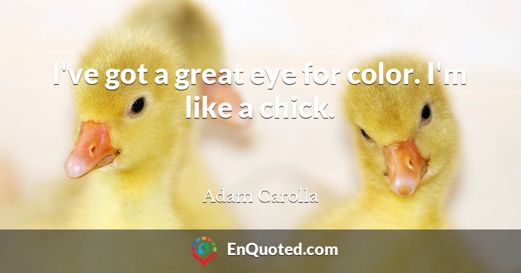 I've got a great eye for color. I'm like a chick.