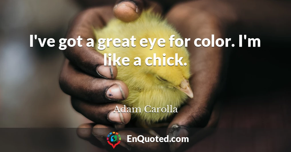 I've got a great eye for color. I'm like a chick.