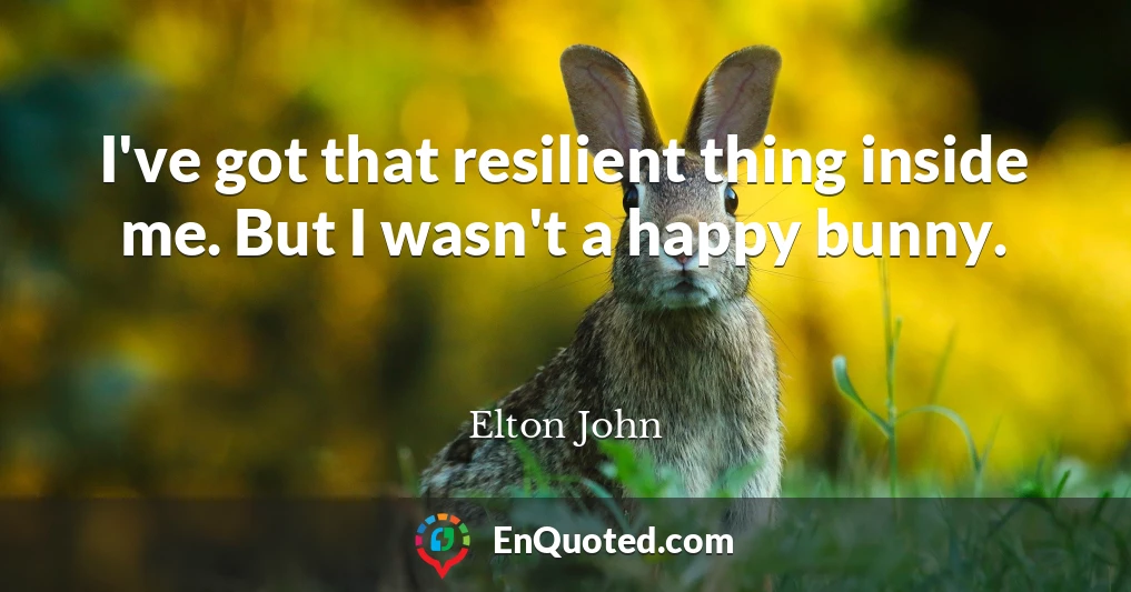 I've got that resilient thing inside me. But I wasn't a happy bunny.