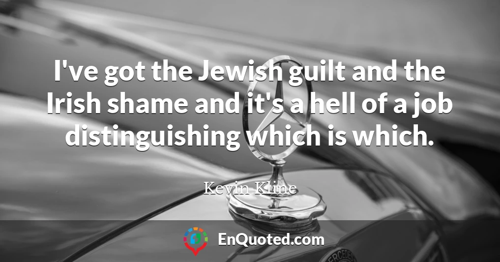 I've got the Jewish guilt and the Irish shame and it's a hell of a job distinguishing which is which.