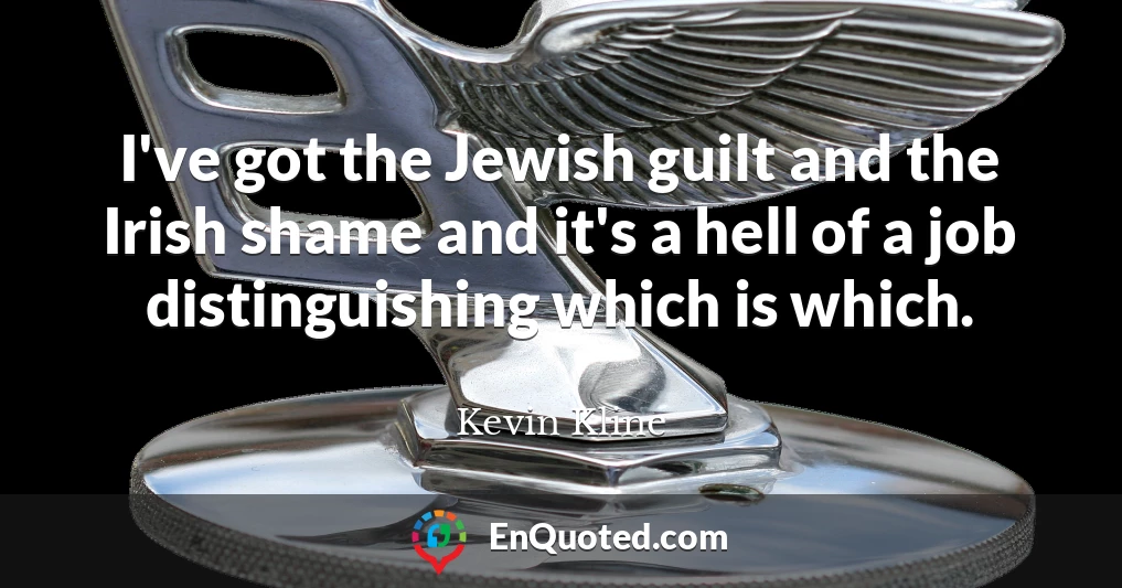 I've got the Jewish guilt and the Irish shame and it's a hell of a job distinguishing which is which.