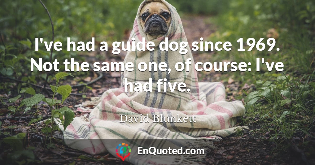 I've had a guide dog since 1969. Not the same one, of course: I've had five.