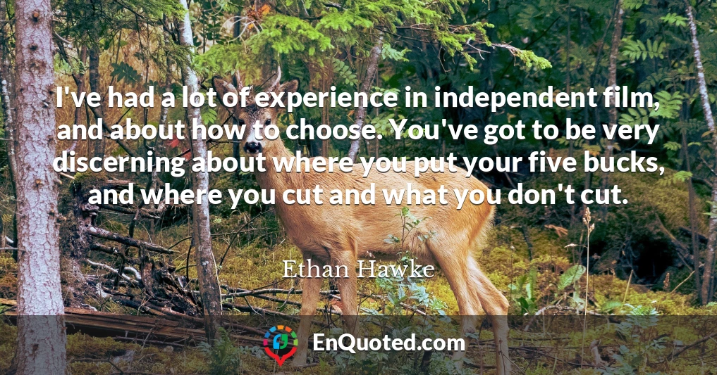 I've had a lot of experience in independent film, and about how to choose. You've got to be very discerning about where you put your five bucks, and where you cut and what you don't cut.