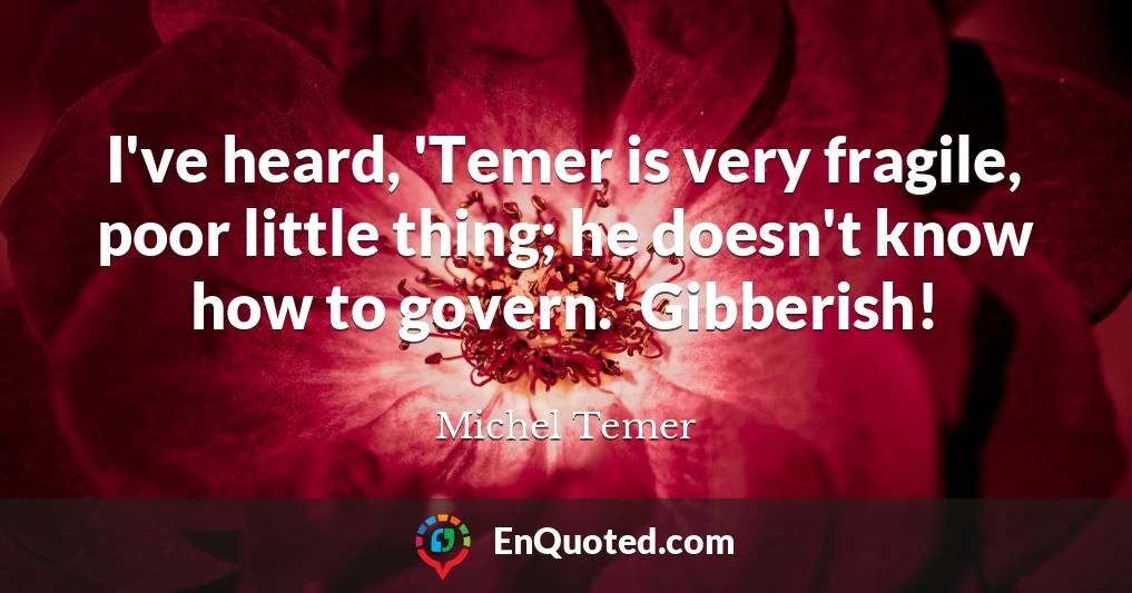 I've heard, 'Temer is very fragile, poor little thing; he doesn't know how to govern.' Gibberish!