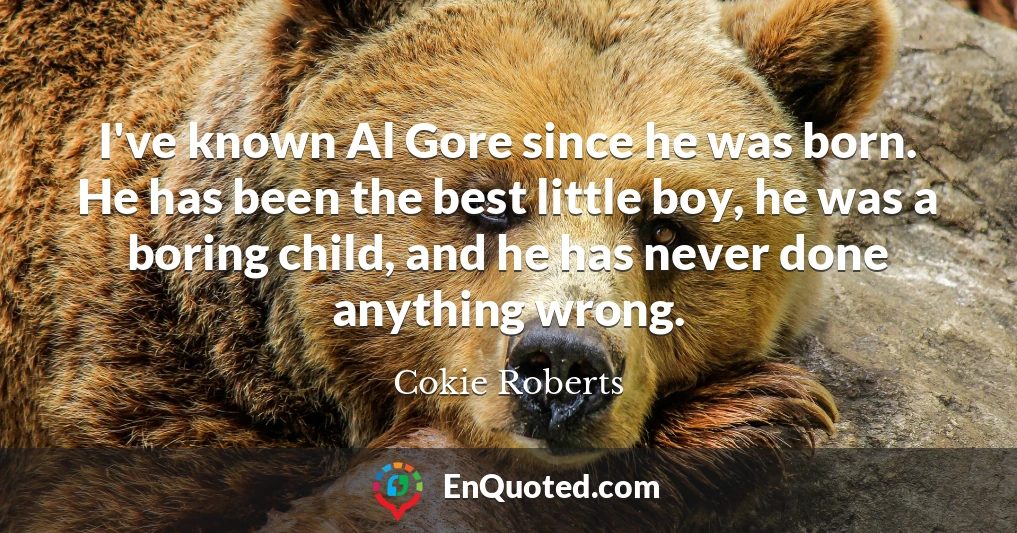 I've known Al Gore since he was born. He has been the best little boy, he was a boring child, and he has never done anything wrong.