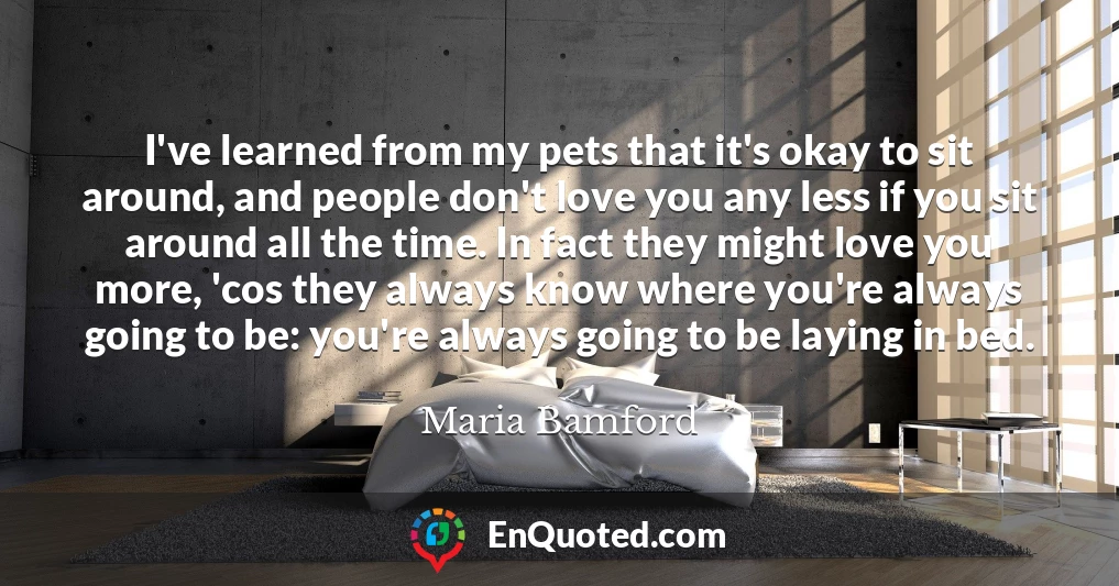 I've learned from my pets that it's okay to sit around, and people don't love you any less if you sit around all the time. In fact they might love you more, 'cos they always know where you're always going to be: you're always going to be laying in bed.