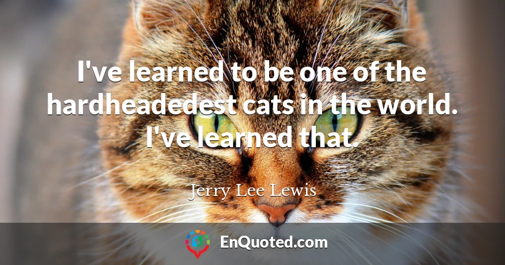 I've learned to be one of the hardheadedest cats in the world. I've learned that.