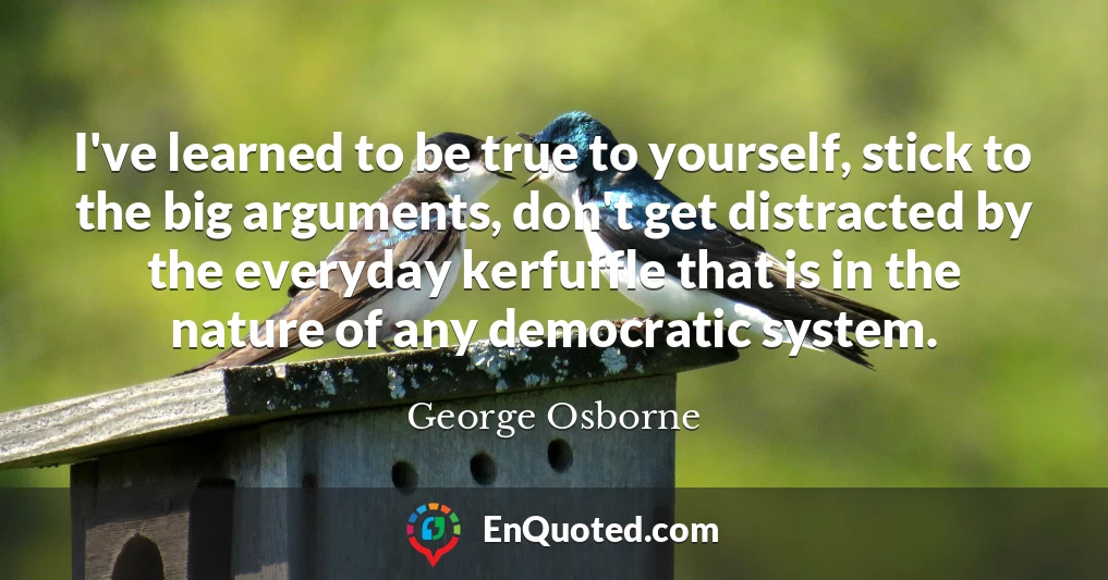 I've learned to be true to yourself, stick to the big arguments, don't get distracted by the everyday kerfuffle that is in the nature of any democratic system.