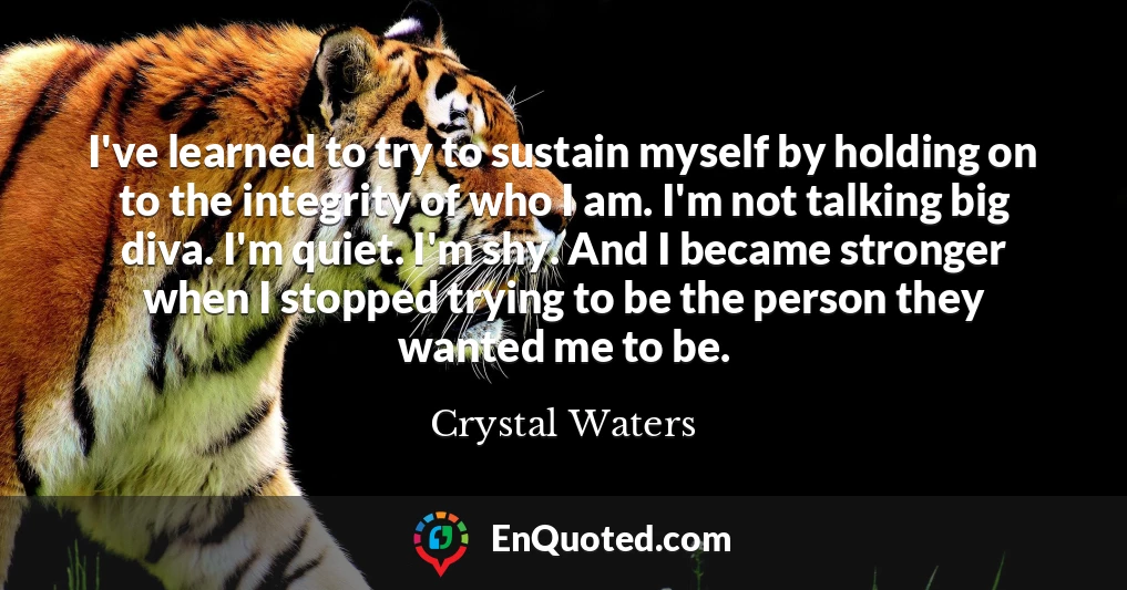 I've learned to try to sustain myself by holding on to the integrity of who I am. I'm not talking big diva. I'm quiet. I'm shy. And I became stronger when I stopped trying to be the person they wanted me to be.