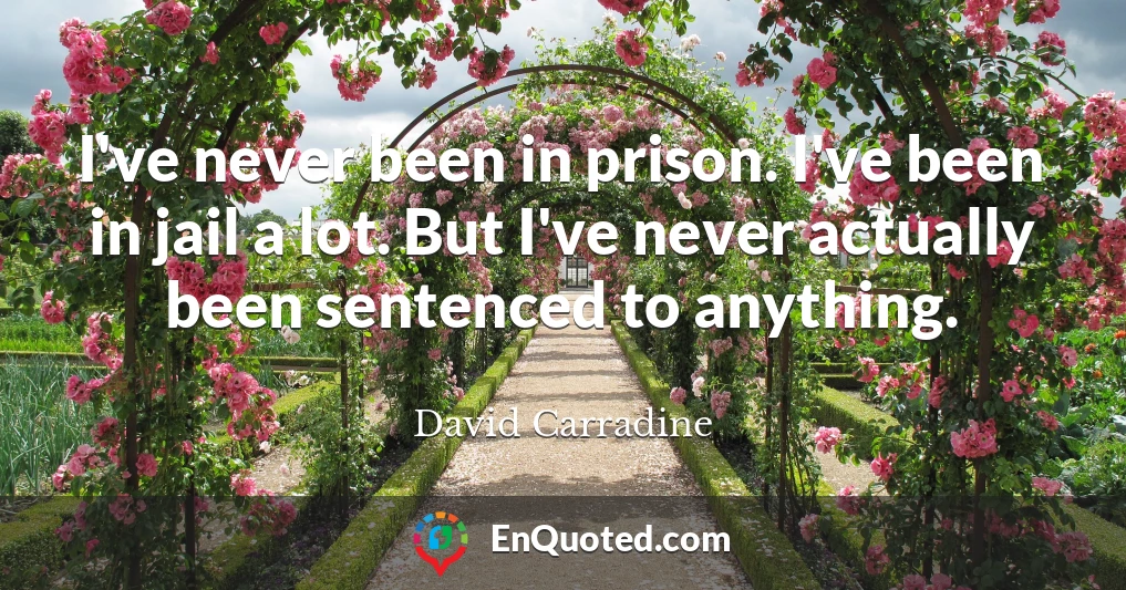 I've never been in prison. I've been in jail a lot. But I've never actually been sentenced to anything.