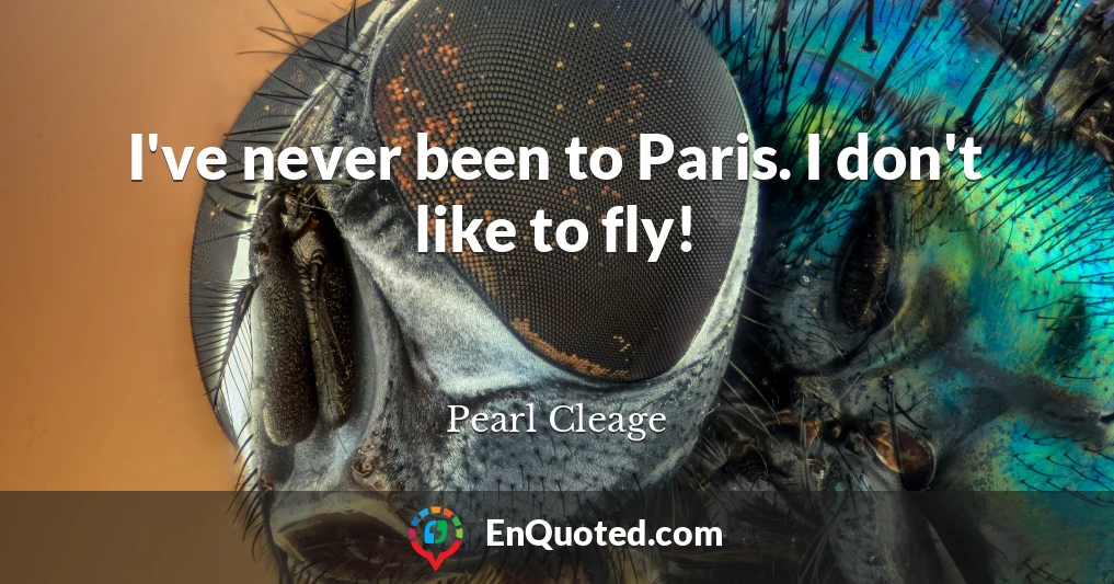 I've never been to Paris. I don't like to fly!