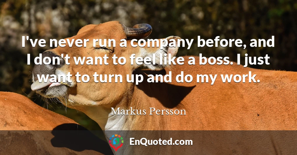 I've never run a company before, and I don't want to feel like a boss. I just want to turn up and do my work.