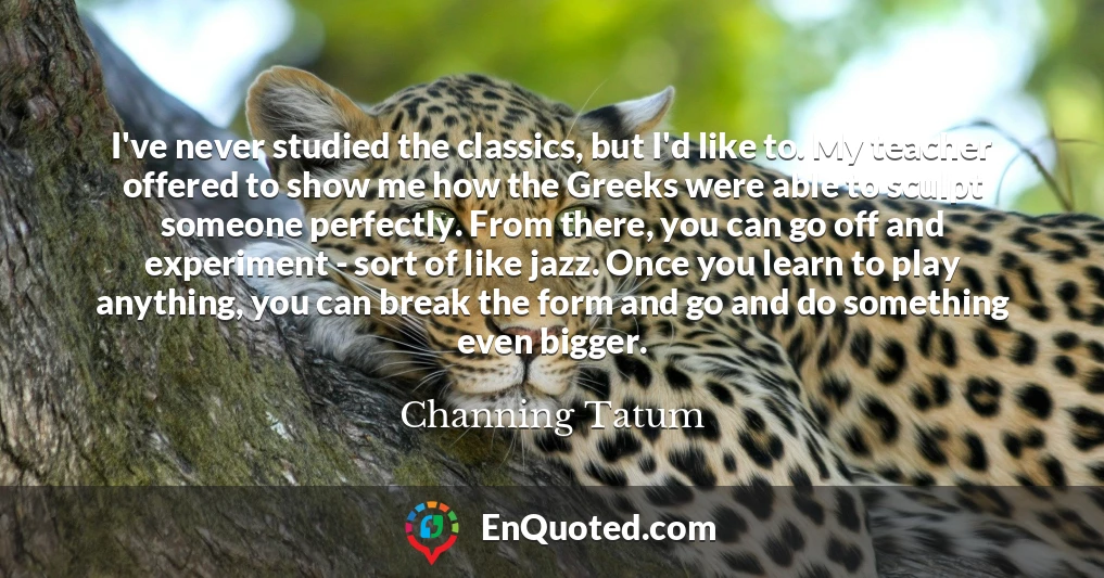 I've never studied the classics, but I'd like to. My teacher offered to show me how the Greeks were able to sculpt someone perfectly. From there, you can go off and experiment - sort of like jazz. Once you learn to play anything, you can break the form and go and do something even bigger.