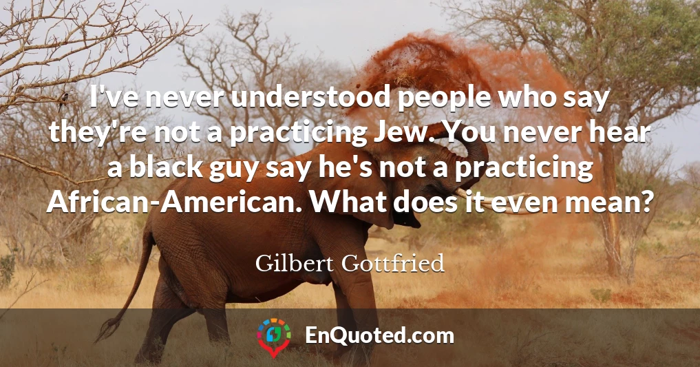 I've never understood people who say they're not a practicing Jew. You never hear a black guy say he's not a practicing African-American. What does it even mean?