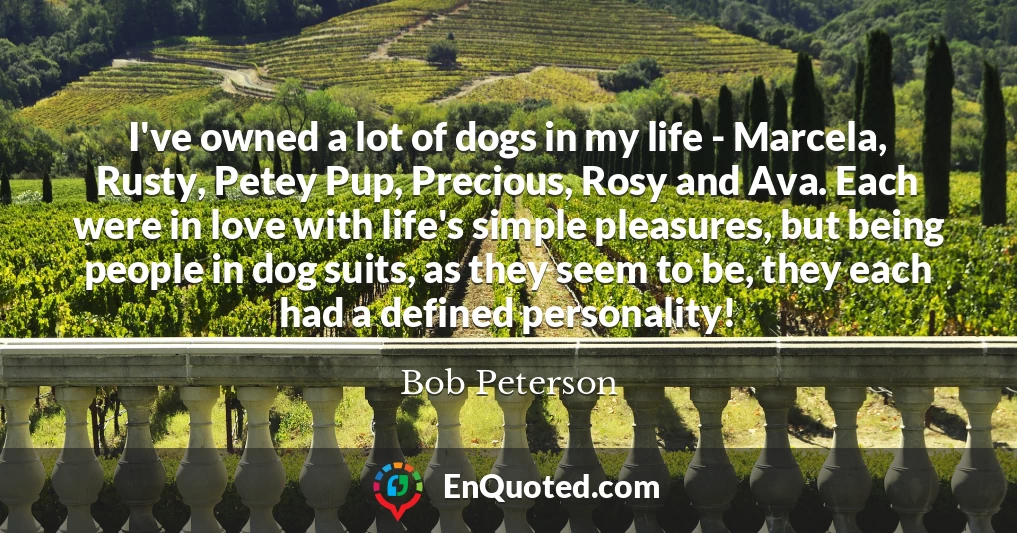 I've owned a lot of dogs in my life - Marcela, Rusty, Petey Pup, Precious, Rosy and Ava. Each were in love with life's simple pleasures, but being people in dog suits, as they seem to be, they each had a defined personality!