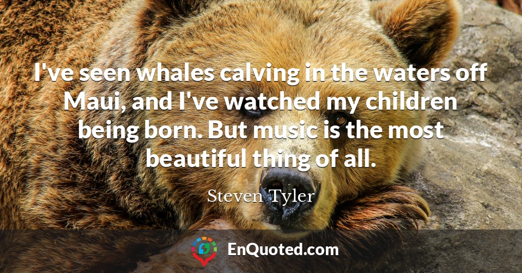 I've seen whales calving in the waters off Maui, and I've watched my children being born. But music is the most beautiful thing of all.