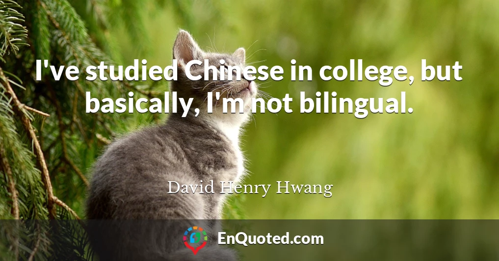 I've studied Chinese in college, but basically, I'm not bilingual.