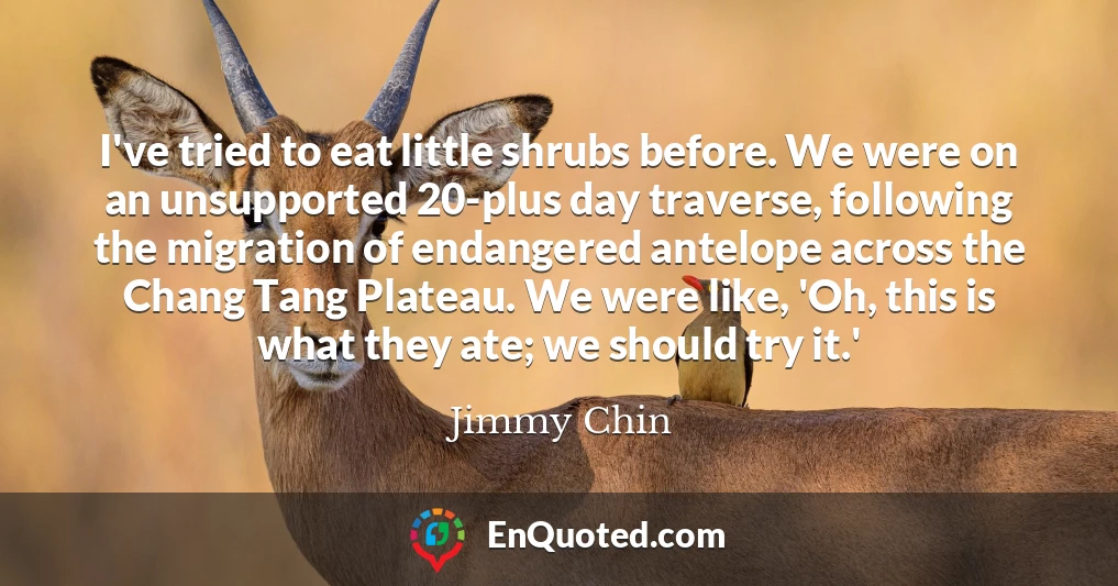 I've tried to eat little shrubs before. We were on an unsupported 20-plus day traverse, following the migration of endangered antelope across the Chang Tang Plateau. We were like, 'Oh, this is what they ate; we should try it.'