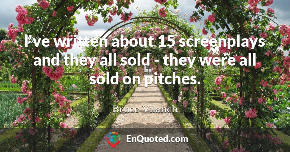 I've written about 15 screenplays and they all sold - they were all sold on pitches.