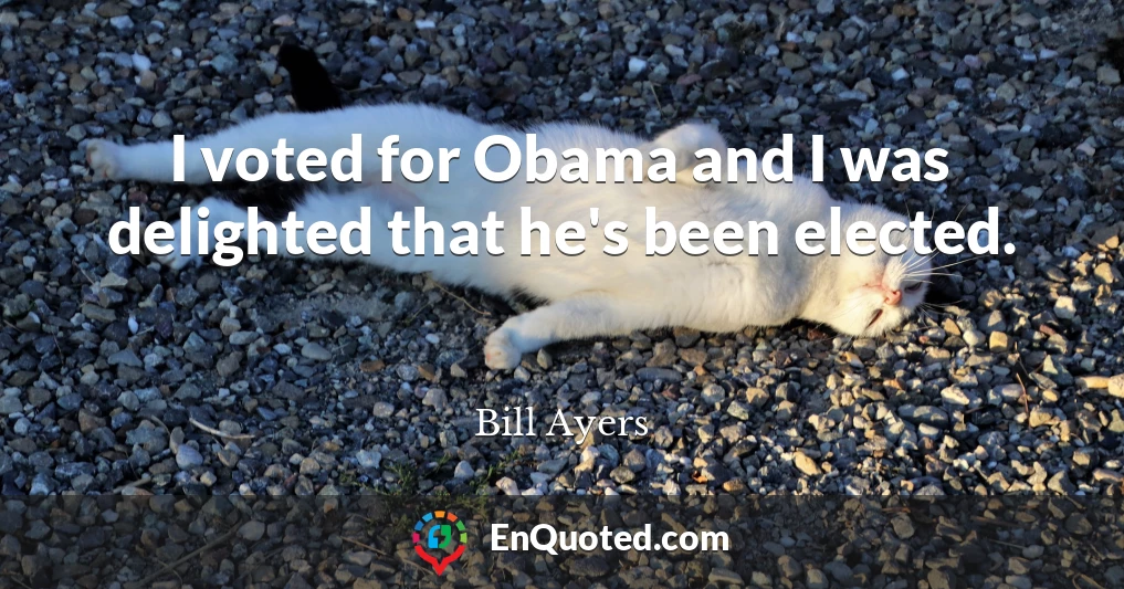 I voted for Obama and I was delighted that he's been elected.