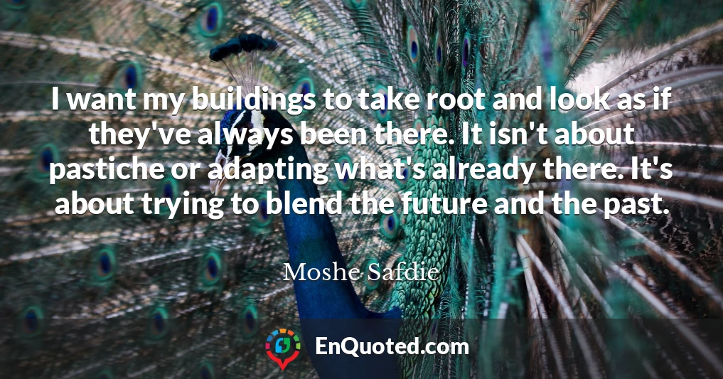 I want my buildings to take root and look as if they've always been there. It isn't about pastiche or adapting what's already there. It's about trying to blend the future and the past.