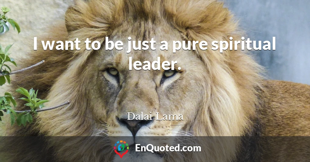 I want to be just a pure spiritual leader.