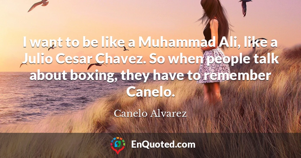 I want to be like a Muhammad Ali, like a Julio Cesar Chavez. So when people talk about boxing, they have to remember Canelo.