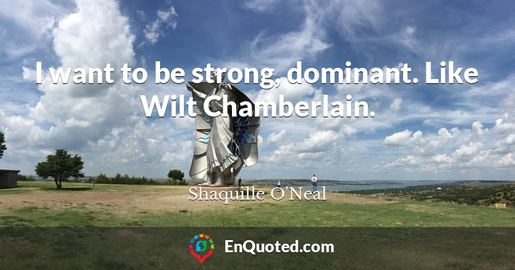 I want to be strong, dominant. Like Wilt Chamberlain.