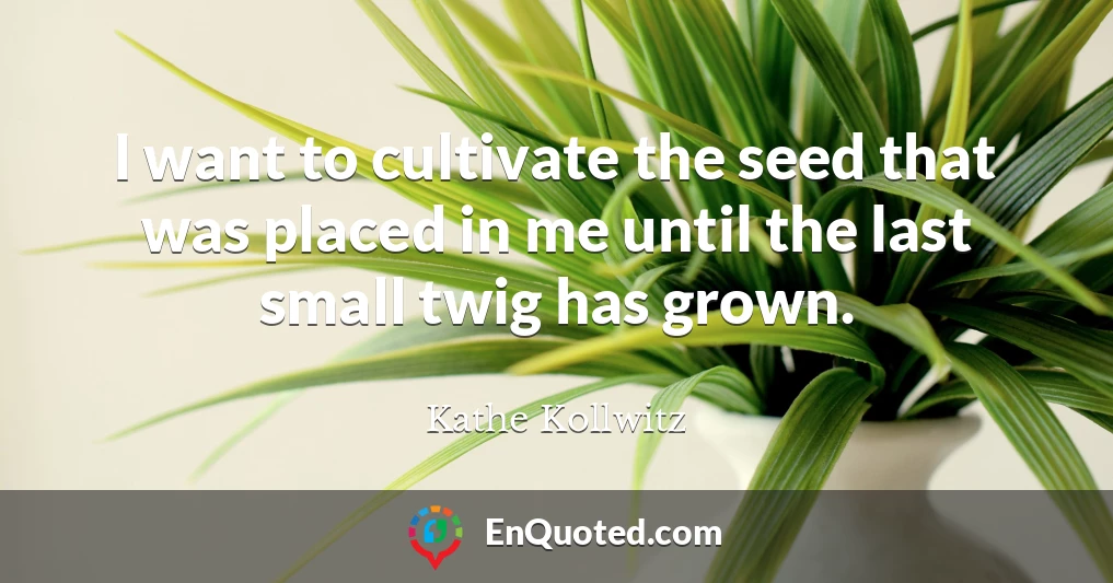 I want to cultivate the seed that was placed in me until the last small twig has grown.
