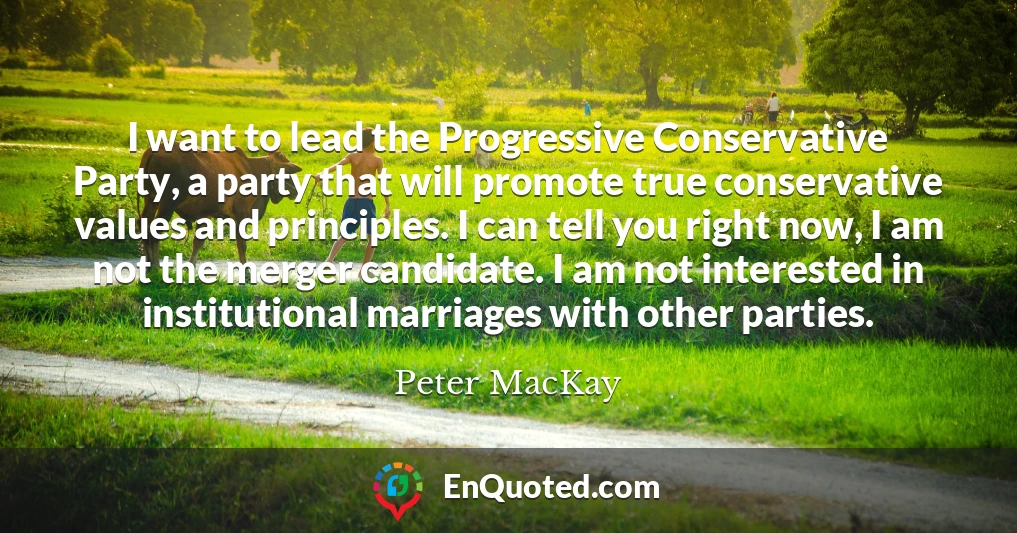 I want to lead the Progressive Conservative Party, a party that will promote true conservative values and principles. I can tell you right now, I am not the merger candidate. I am not interested in institutional marriages with other parties.