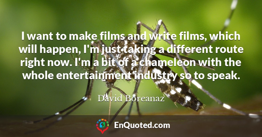 I want to make films and write films, which will happen, I'm just taking a different route right now. I'm a bit of a chameleon with the whole entertainment industry so to speak.