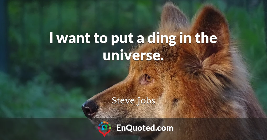 I want to put a ding in the universe.