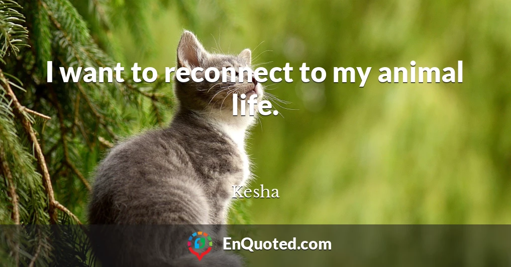 I want to reconnect to my animal life.