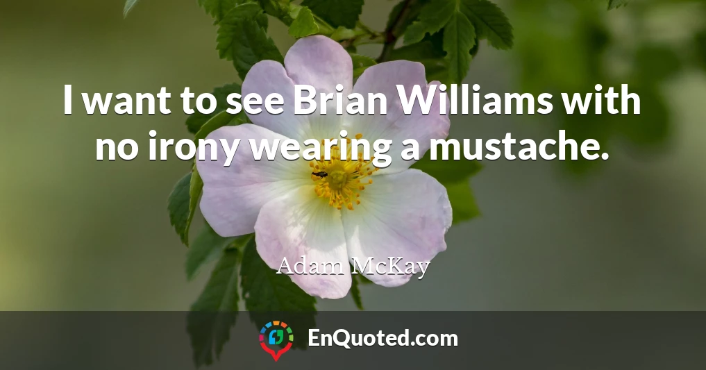 I want to see Brian Williams with no irony wearing a mustache.