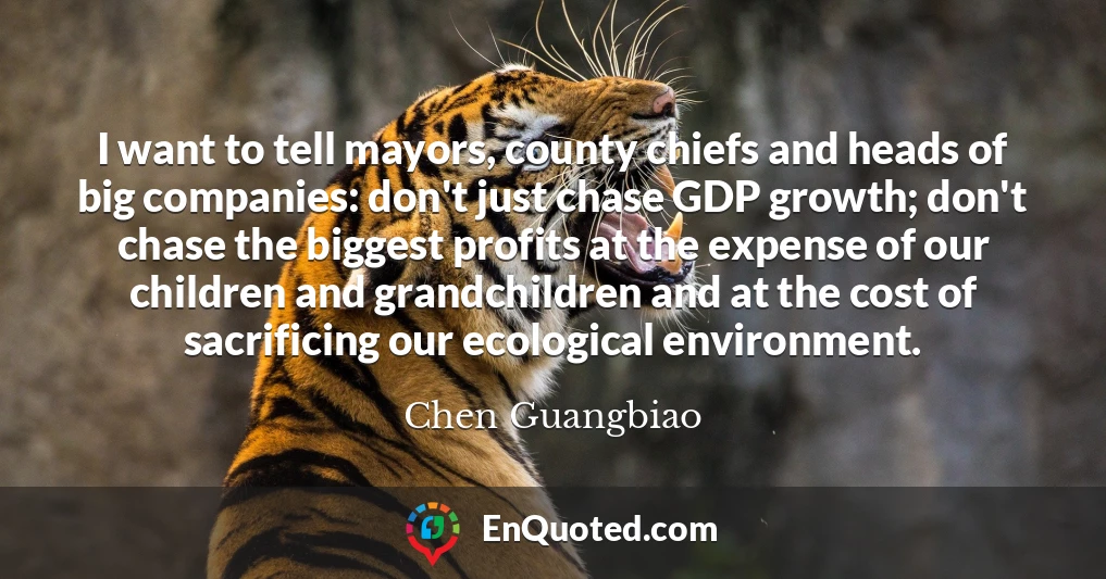 I want to tell mayors, county chiefs and heads of big companies: don't just chase GDP growth; don't chase the biggest profits at the expense of our children and grandchildren and at the cost of sacrificing our ecological environment.