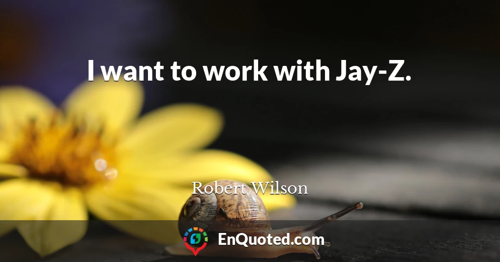 I want to work with Jay-Z.