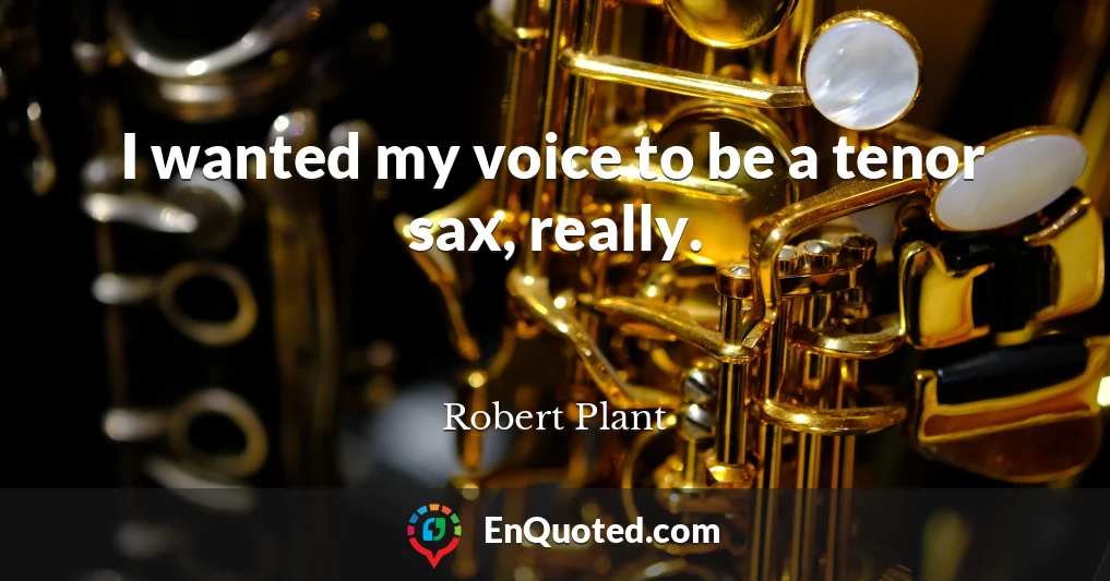 I wanted my voice to be a tenor sax, really.