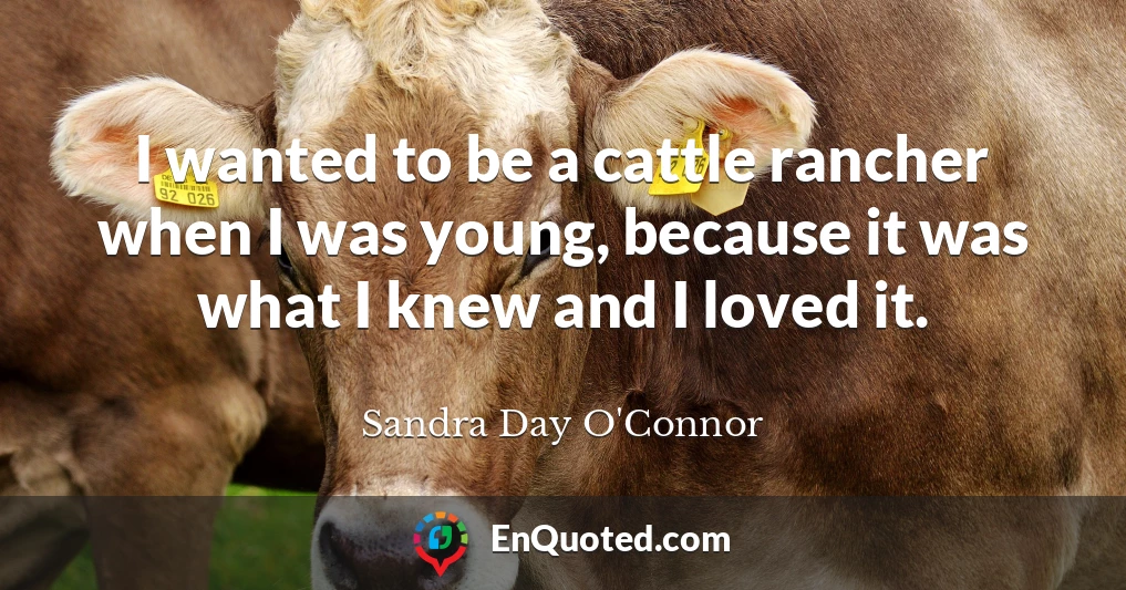 I wanted to be a cattle rancher when I was young, because it was what I knew and I loved it.