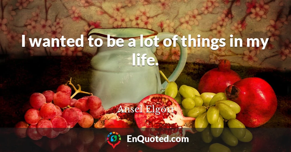 I wanted to be a lot of things in my life.