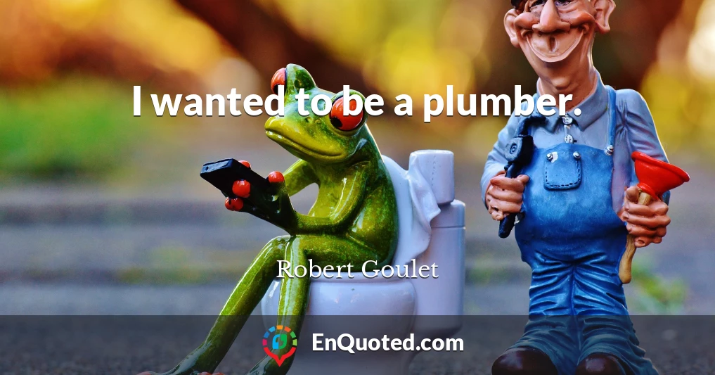 I wanted to be a plumber.