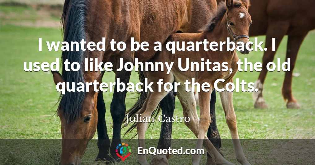 I wanted to be a quarterback. I used to like Johnny Unitas, the old quarterback for the Colts.