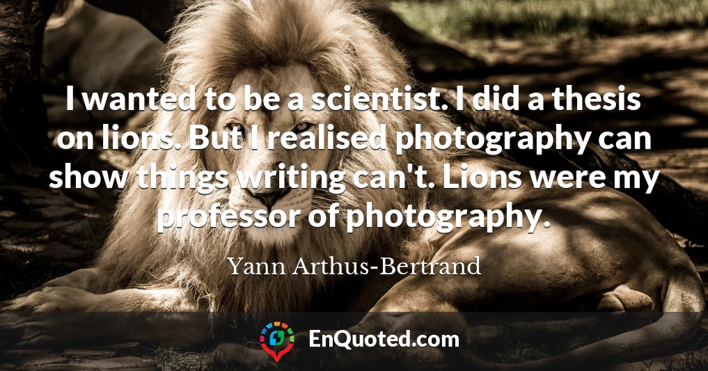 I wanted to be a scientist. I did a thesis on lions. But I realised photography can show things writing can't. Lions were my professor of photography.