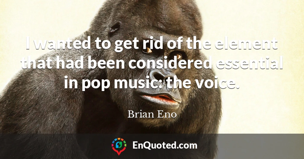 I wanted to get rid of the element that had been considered essential in pop music: the voice.