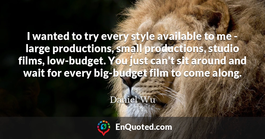 I wanted to try every style available to me - large productions, small productions, studio films, low-budget. You just can't sit around and wait for every big-budget film to come along.