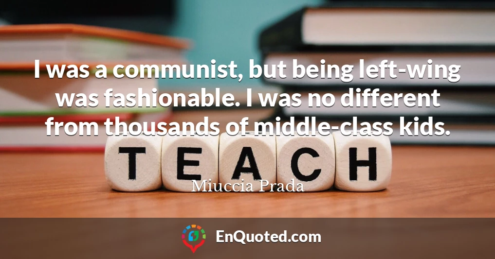 I was a communist, but being left-wing was fashionable. I was no different from thousands of middle-class kids.