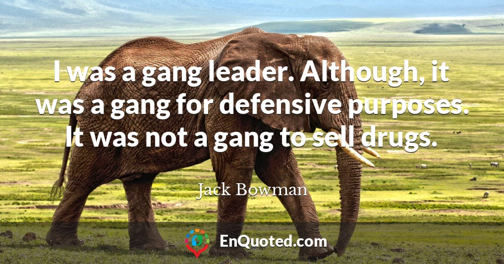 I was a gang leader. Although, it was a gang for defensive purposes. It was not a gang to sell drugs.