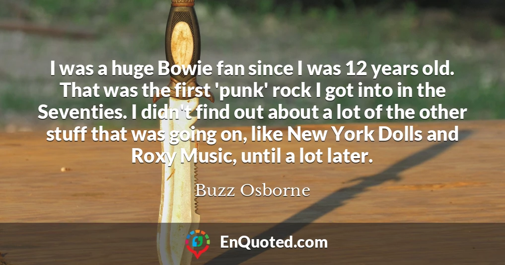 I was a huge Bowie fan since I was 12 years old. That was the first 'punk' rock I got into in the Seventies. I didn't find out about a lot of the other stuff that was going on, like New York Dolls and Roxy Music, until a lot later.