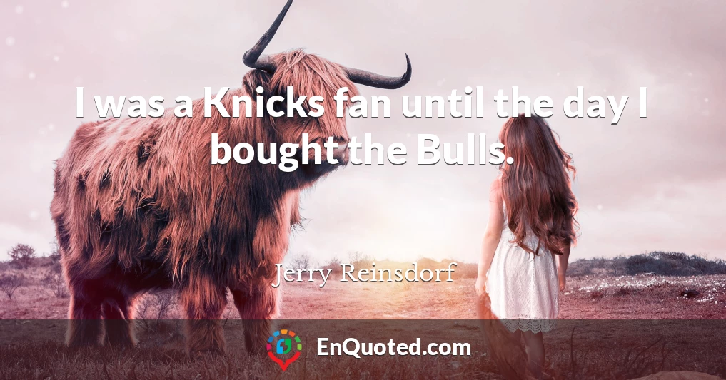 I was a Knicks fan until the day I bought the Bulls.