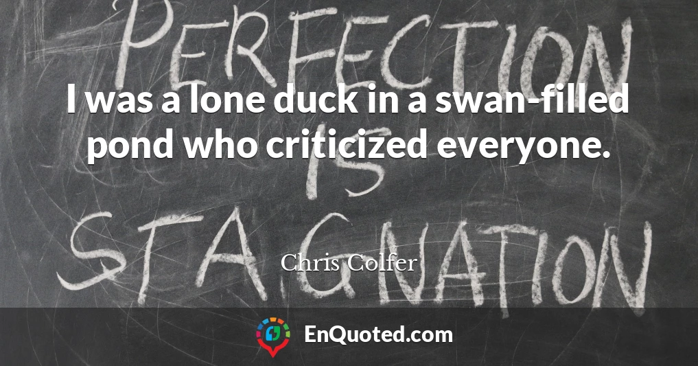 I was a lone duck in a swan-filled pond who criticized everyone.